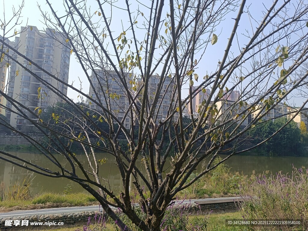 城市河畔冬日景致