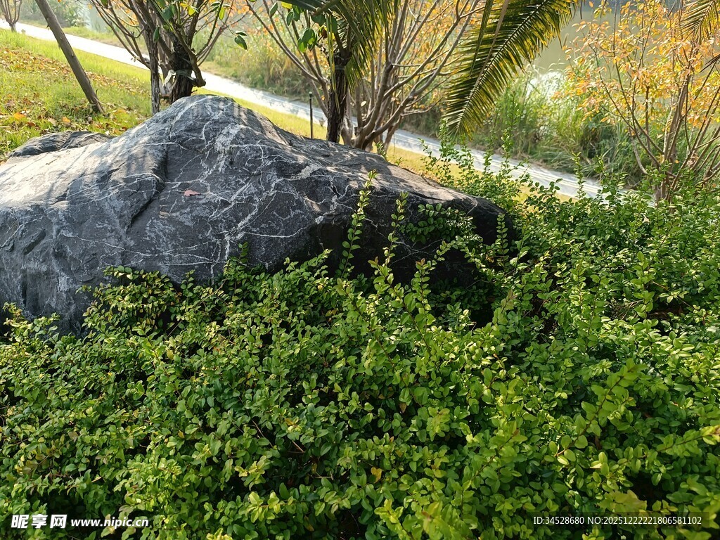 园林中巨石旁的繁茂绿植