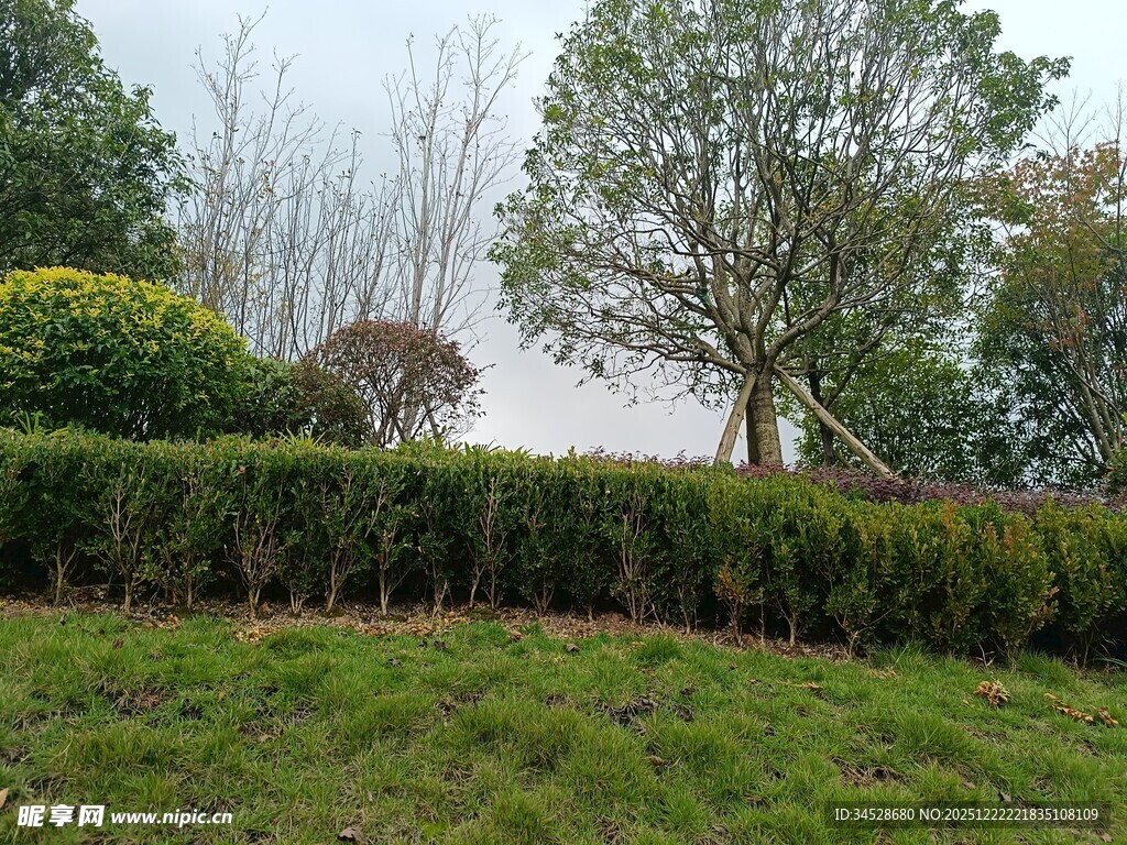 绿意盎然的户外园林景观