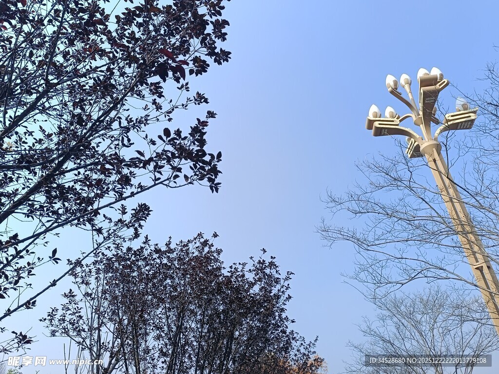 户外树木旁的照明灯塔