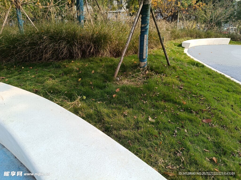 户外草坪上的白色弧形设施