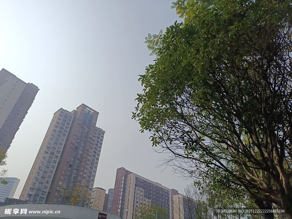 城市高楼与绿树景观