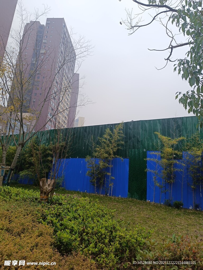 城市施工围挡旁的绿植景观