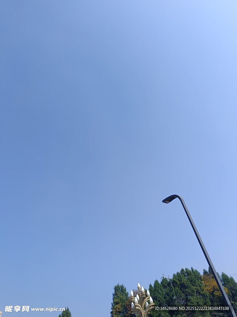 蓝天绿树间的路灯