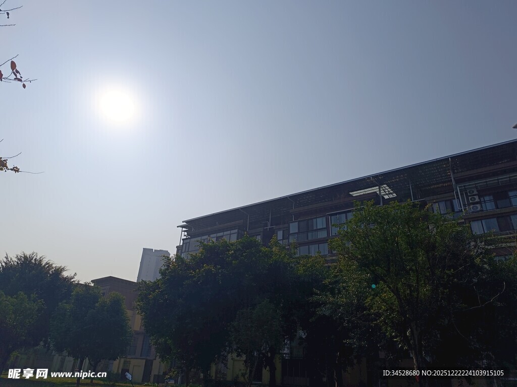 阳光下的建筑与绿树