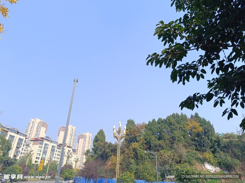 城市与绿树相映的景致