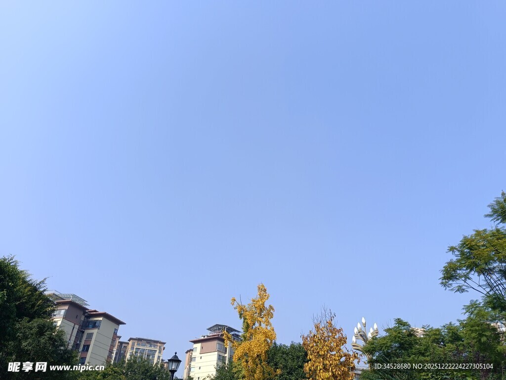 蓝天绿树旁的建筑景观