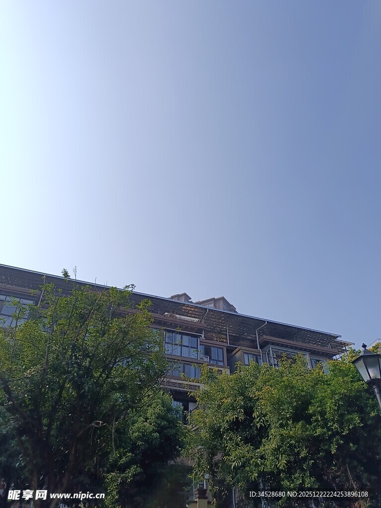 阳光下的建筑与绿树