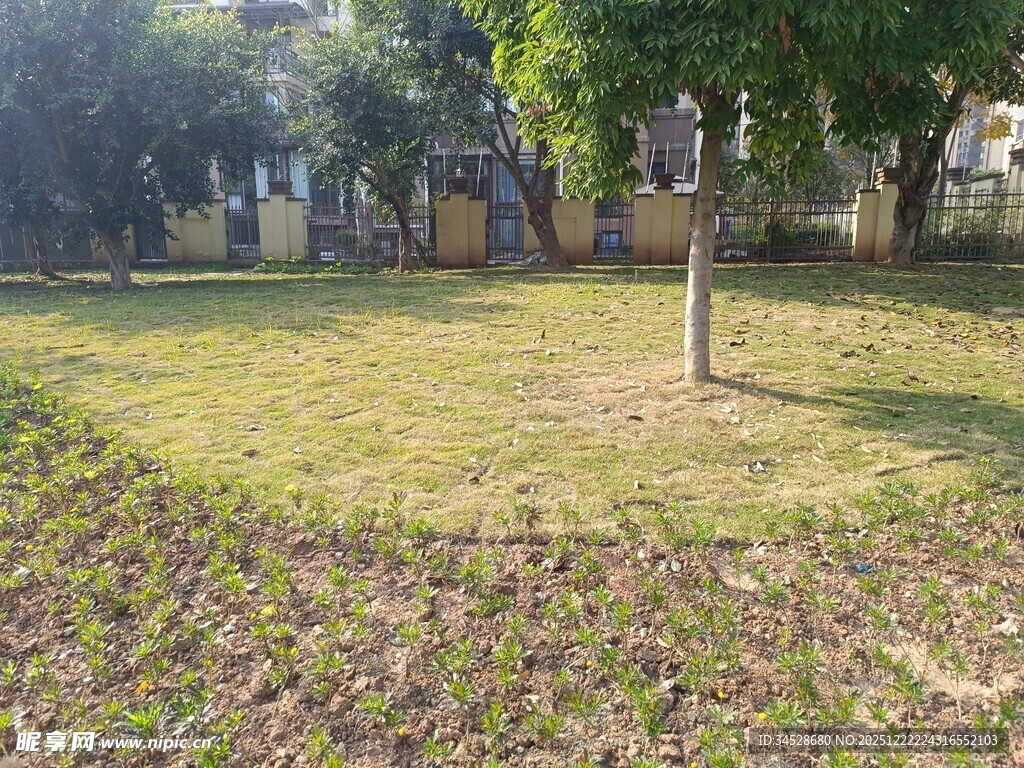 户外草地树木景观