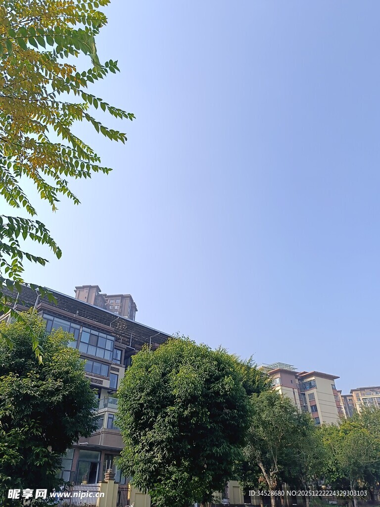 城市街边绿树掩映的建筑