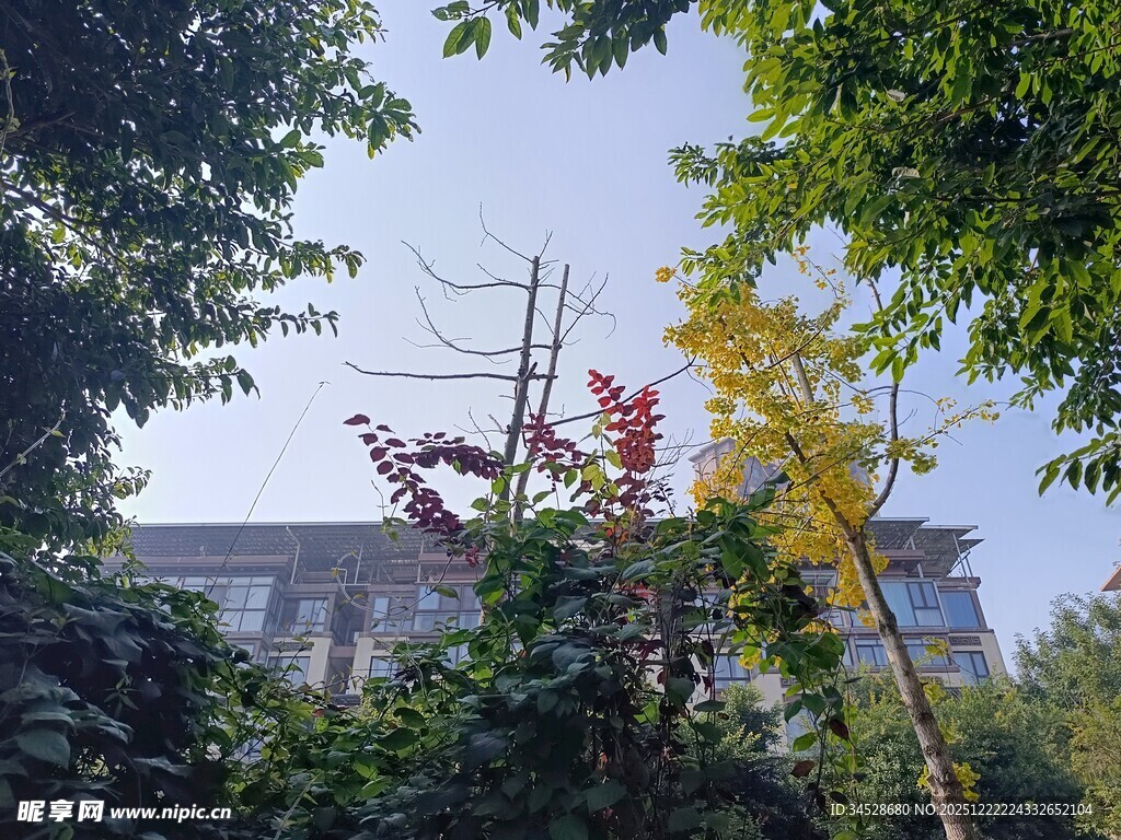 绿树掩映中的房屋一角