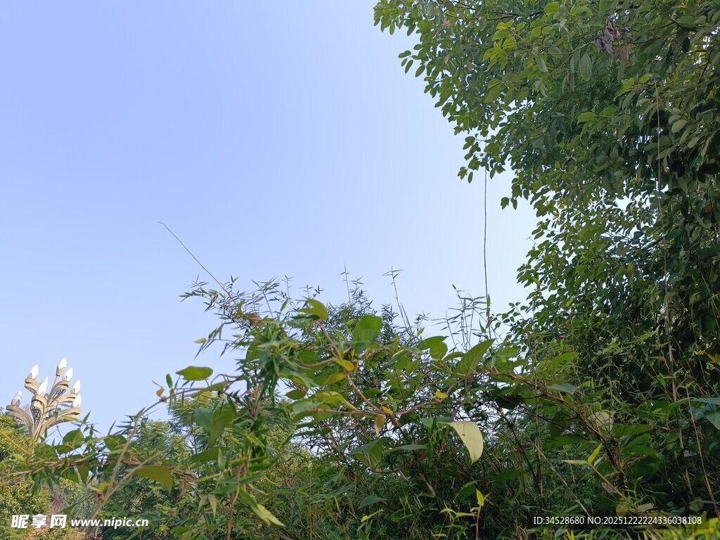 蓝天绿树间的自然景致