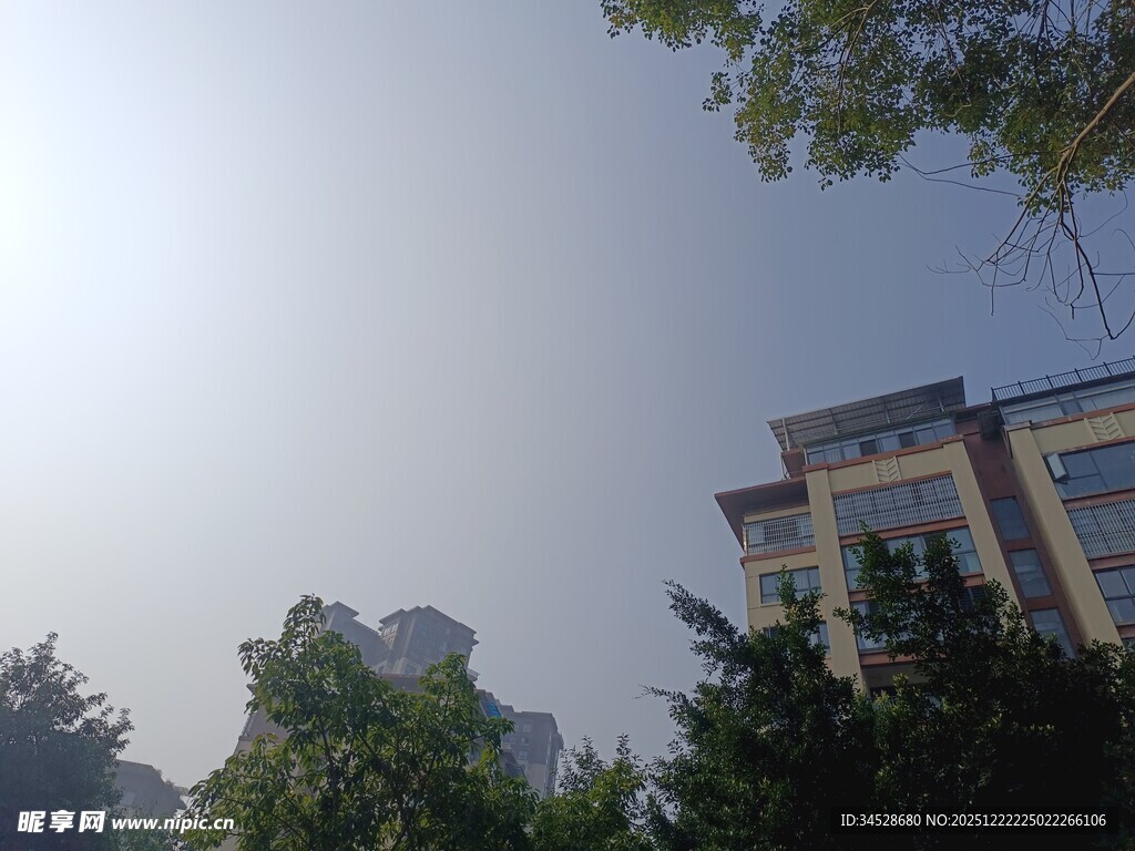 阳光下的建筑与绿树