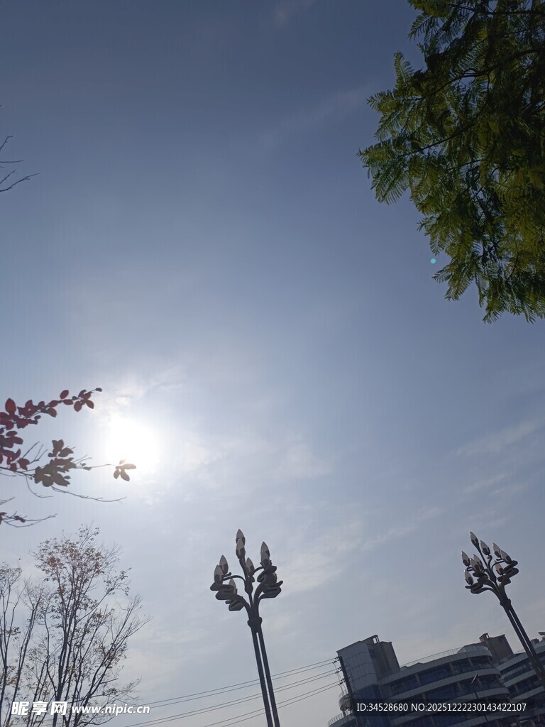 阳光下的城市景观