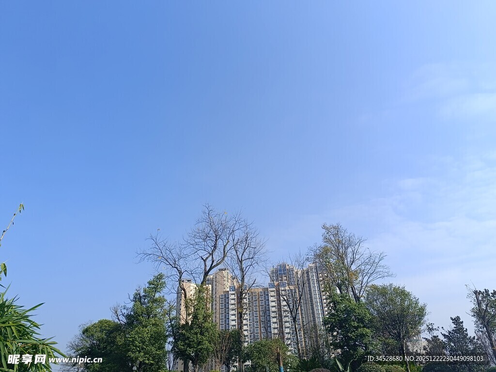 蓝天绿树间的宏伟建筑