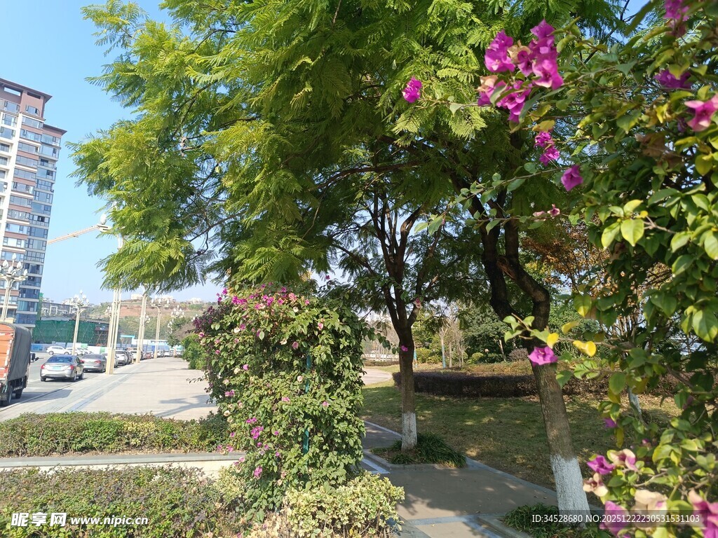 城市中繁花绿树的小径