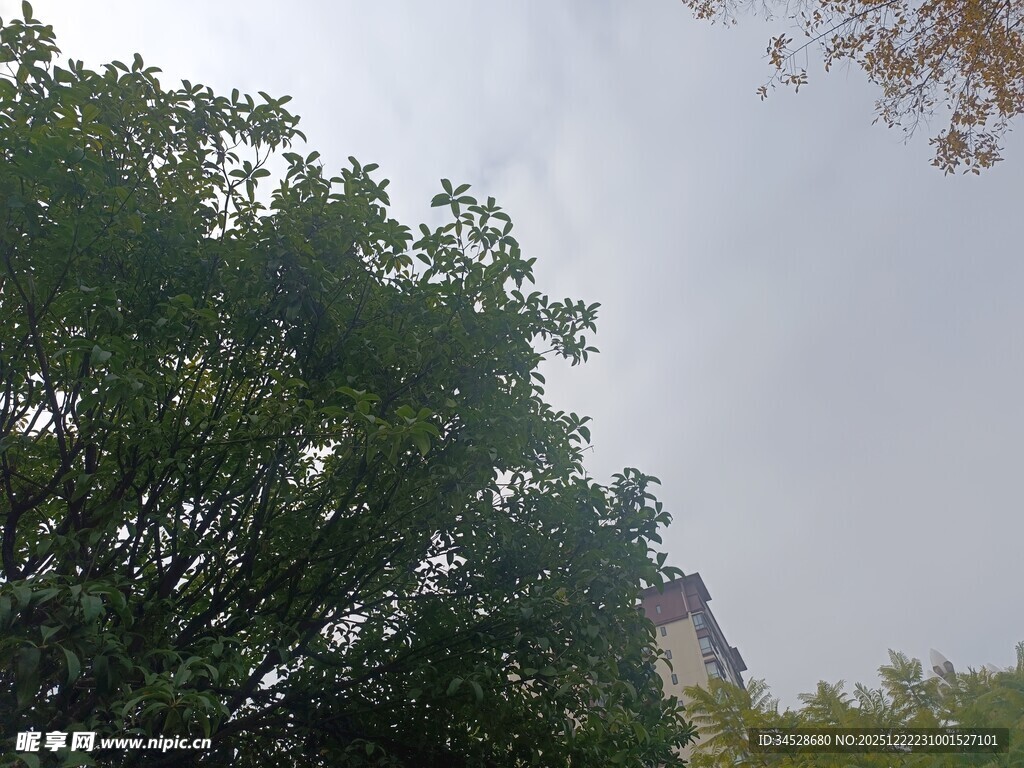 绿树掩映中的建筑一角