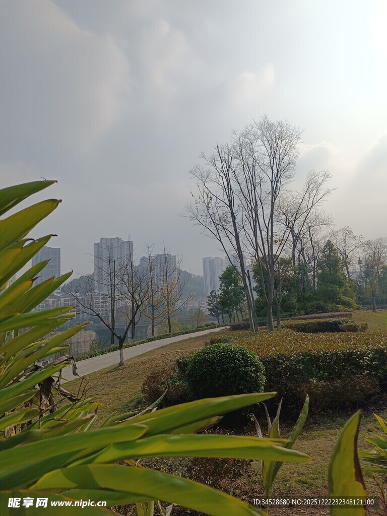 城市公园冬日景致