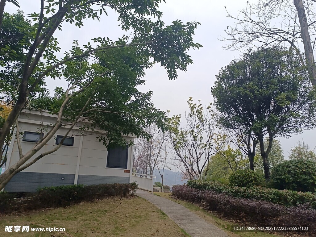 林间小屋旁的幽静小道