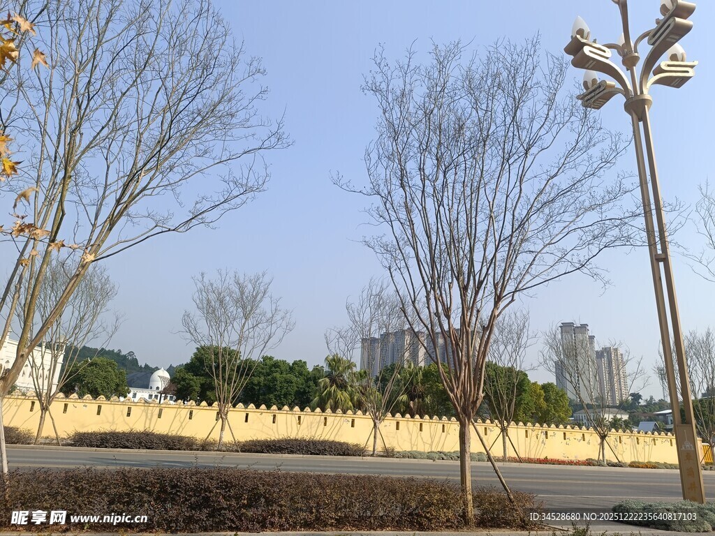 冬日城郊空旷道路景象