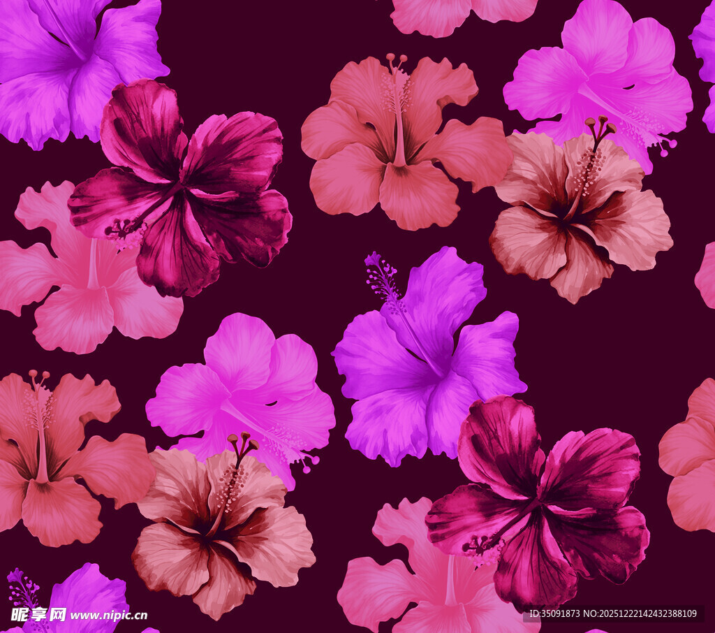 缤纷木槿花图案背景