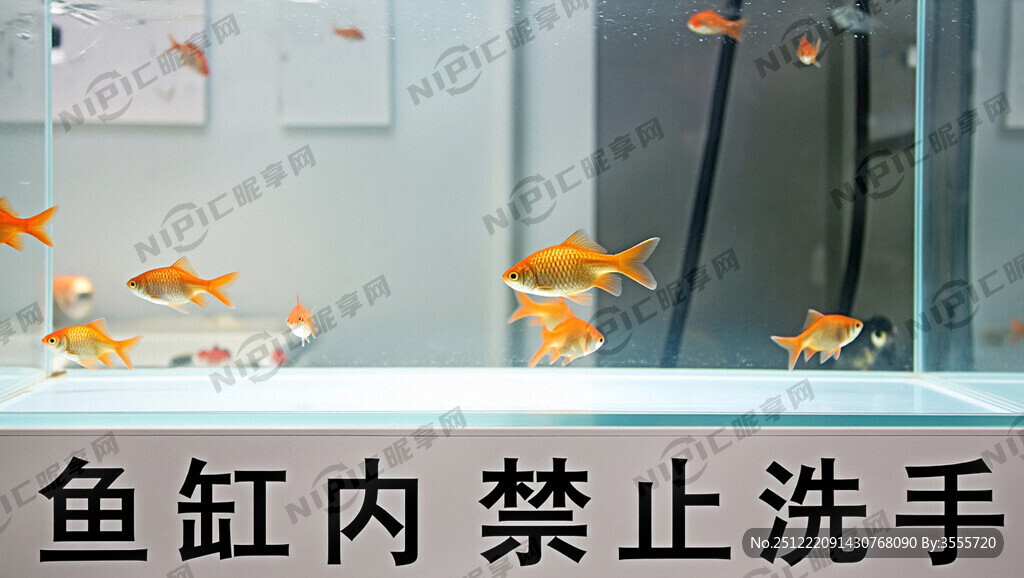 鱼缸内禁止洗手