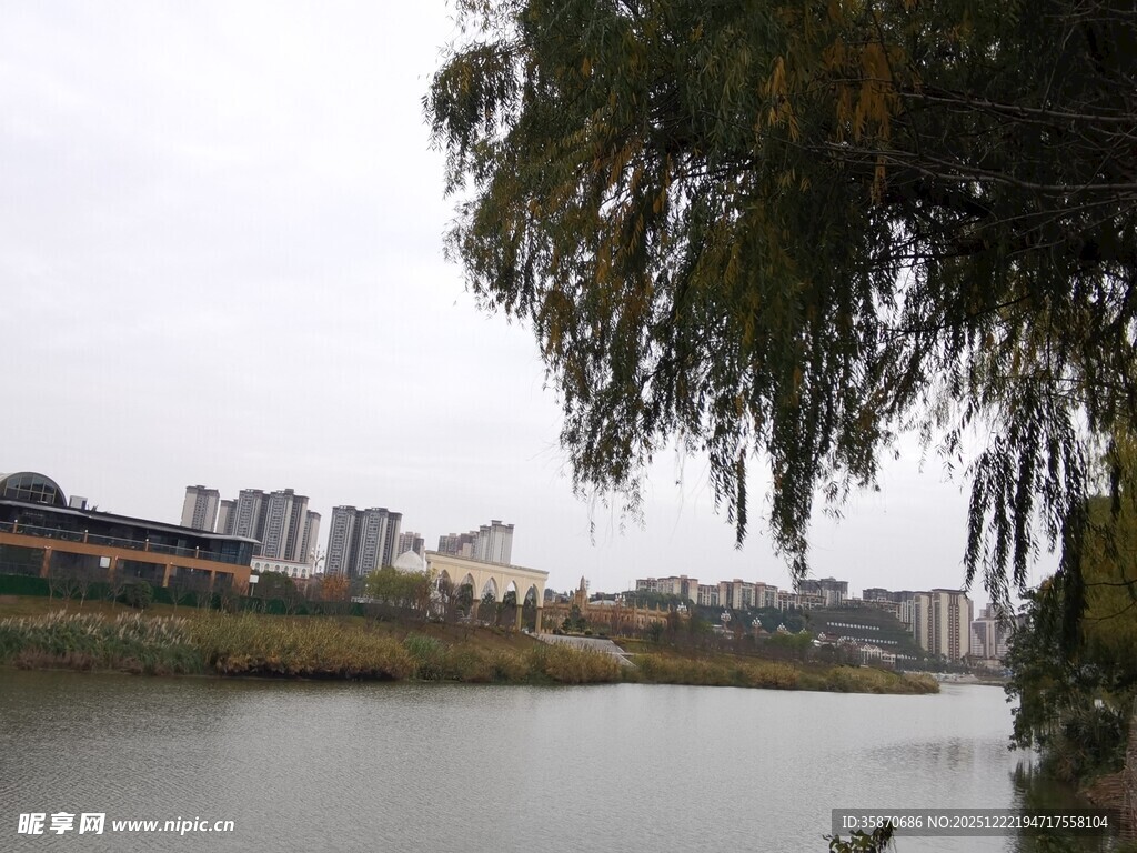 河畔垂柳下的城市景致