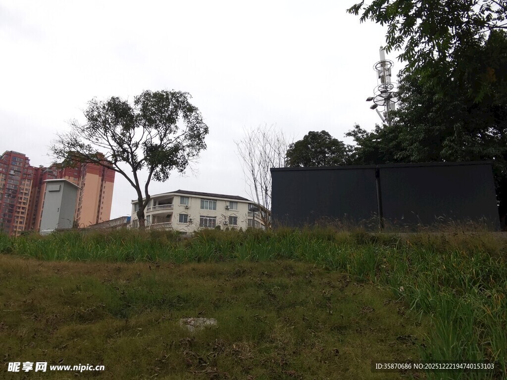 户外草地与远处建筑景观