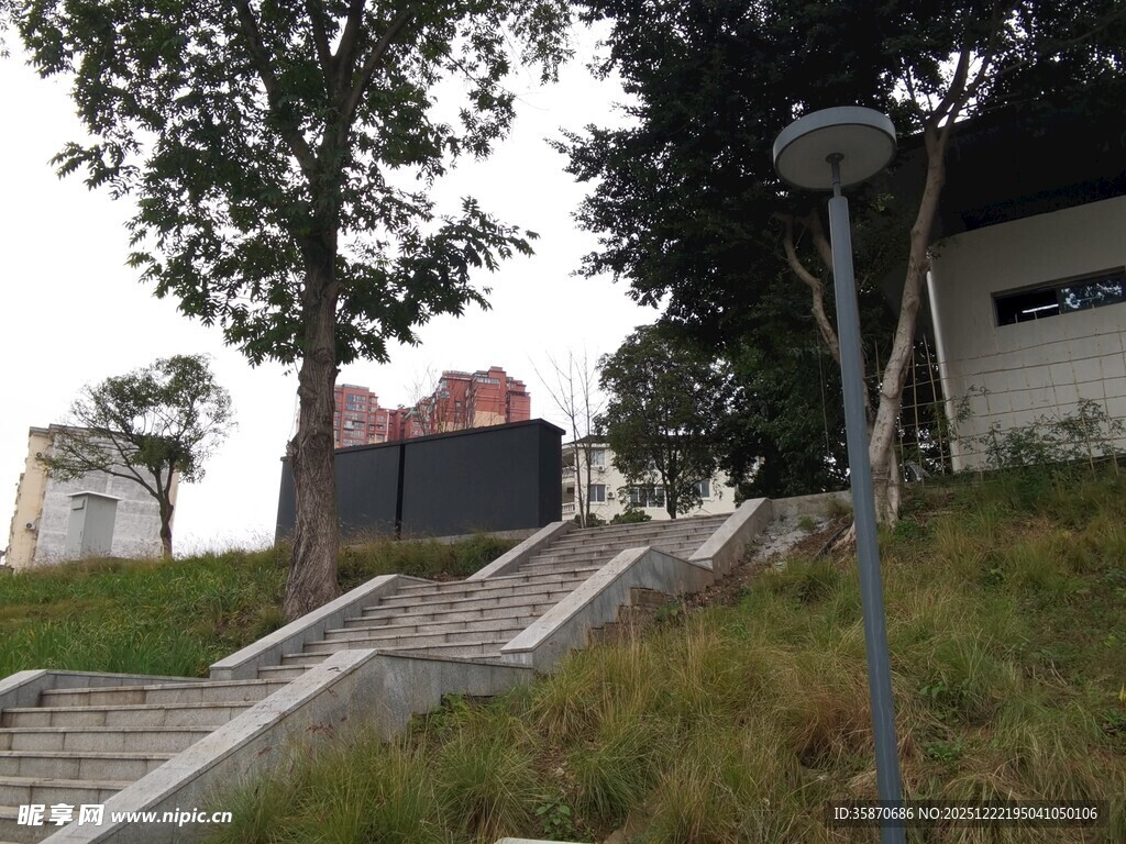 户外斜坡旁的建筑与树木