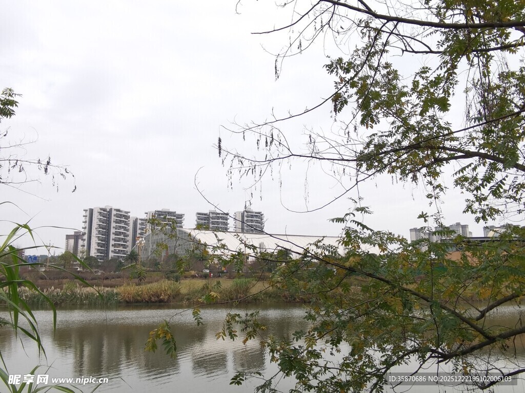 湖畔城市风光绿树相伴