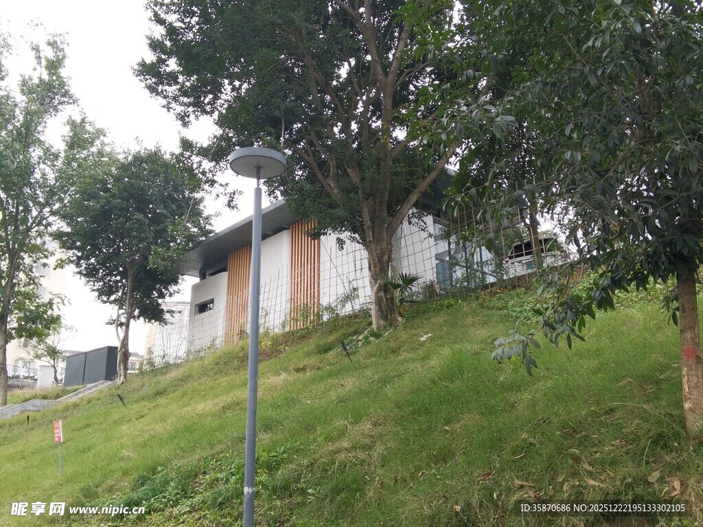 山坡上的房屋与绿树