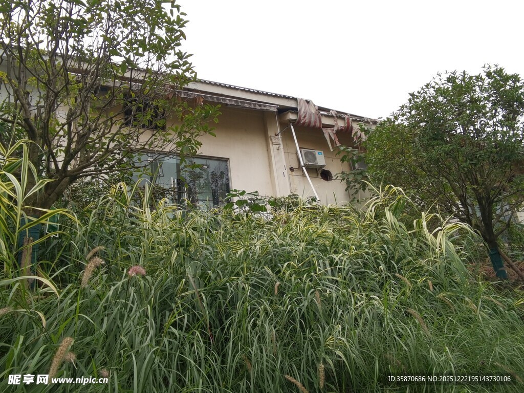 被绿植环绕的温馨住宅