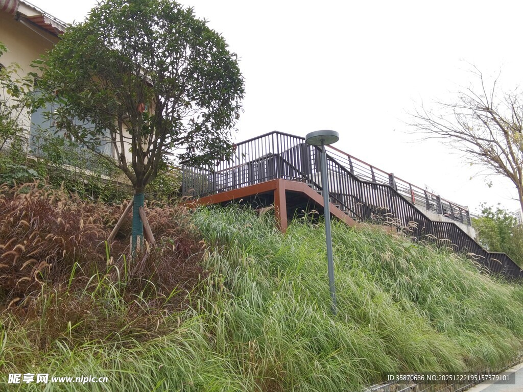 山坡上的木质观景栈道