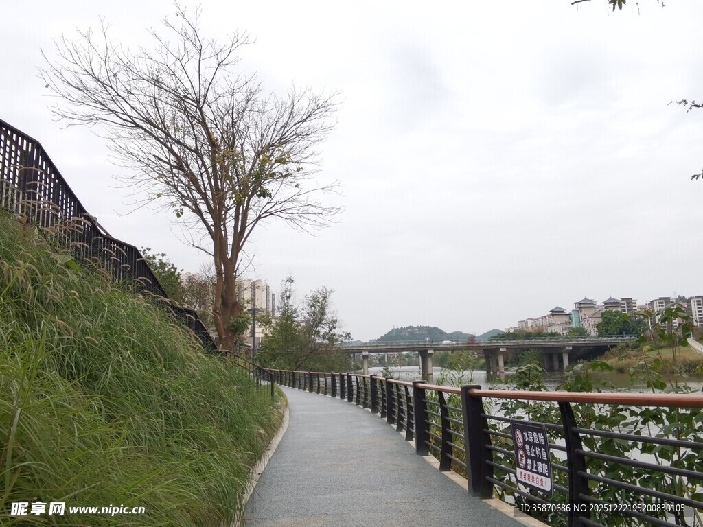 河边幽静小路绿意相伴