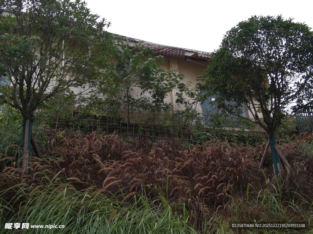 乡村小屋旁的绿植景观