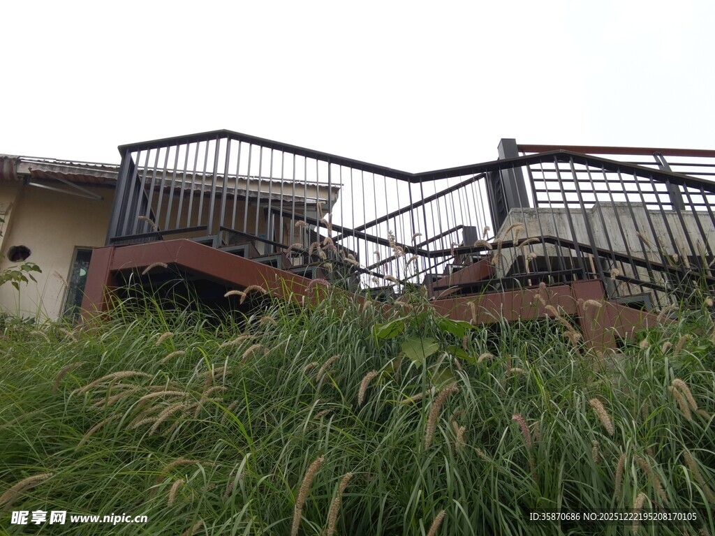 废弃露台被野草覆盖