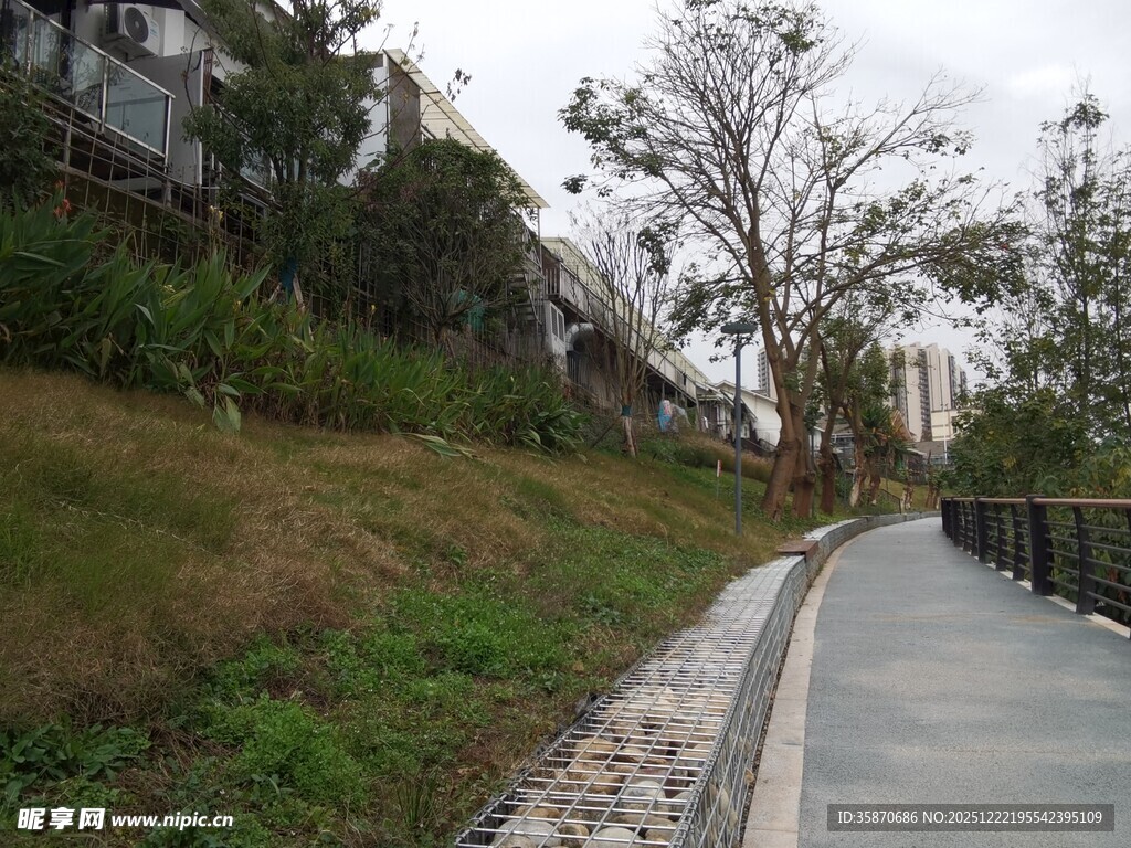 林间漫步道自然好风光