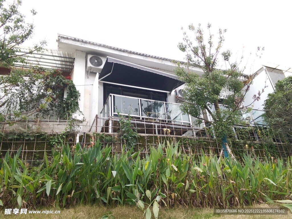 湖畔绿植环绕的别致小屋