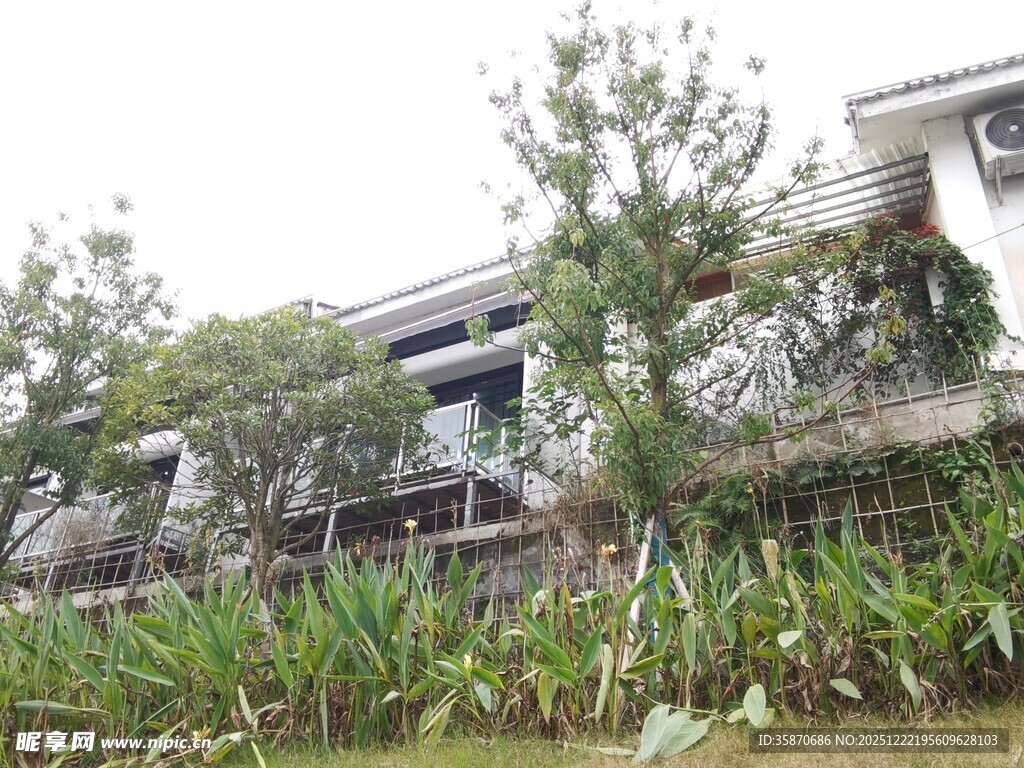 庭院绿植环绕的温馨住宅