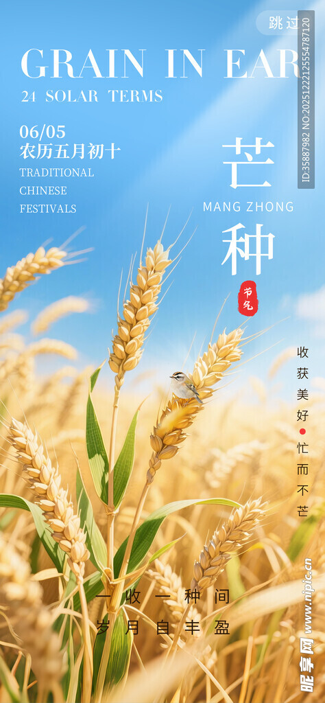 芒种
