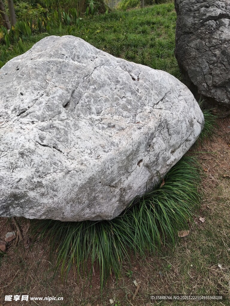 户外草地中的灰色大石头