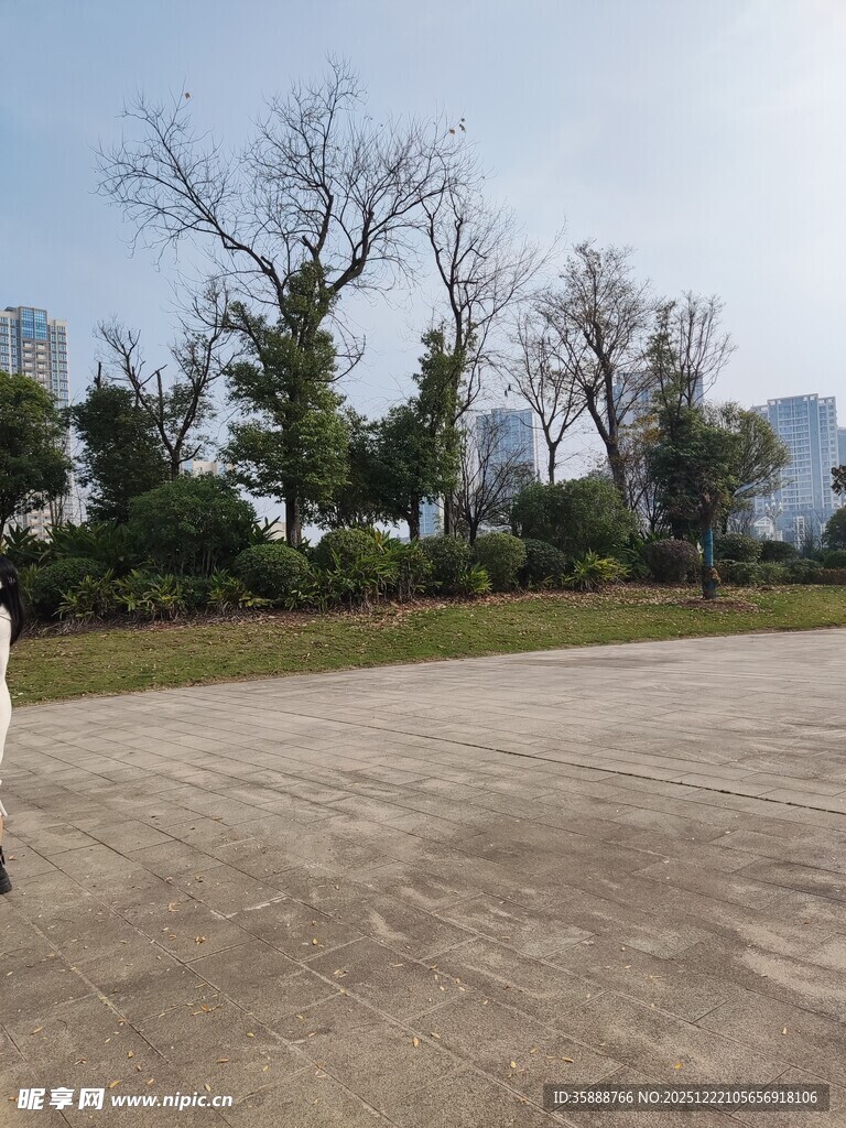 空旷户外场地与远处树木