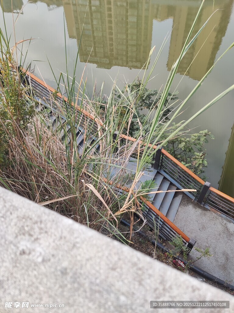 水边植物与金属结构景观