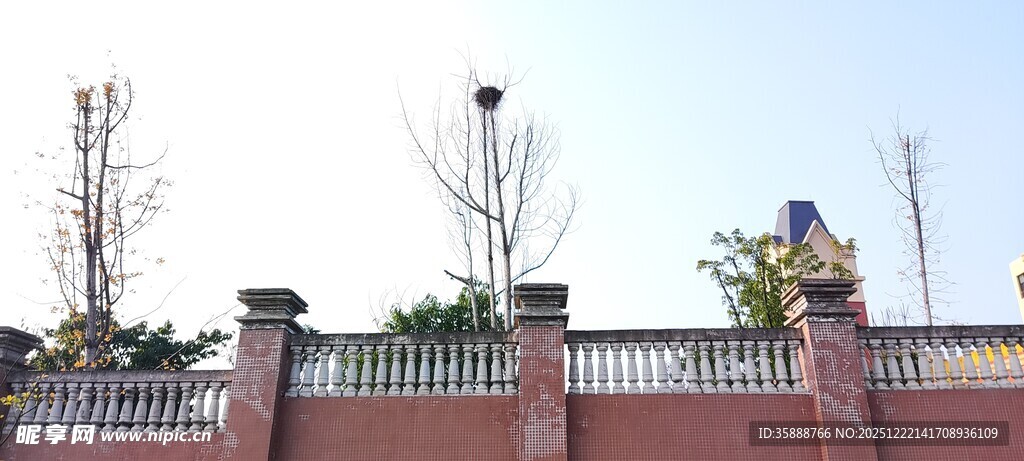 红砖围墙与绿植景观