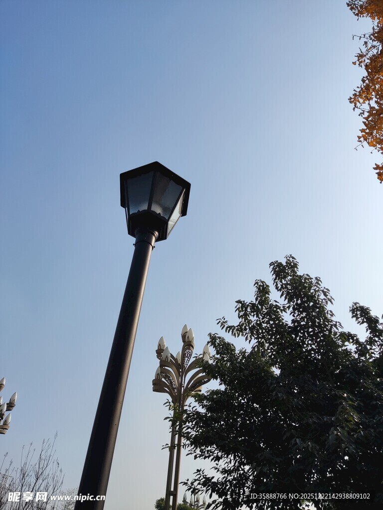 户外路灯与树木的景致