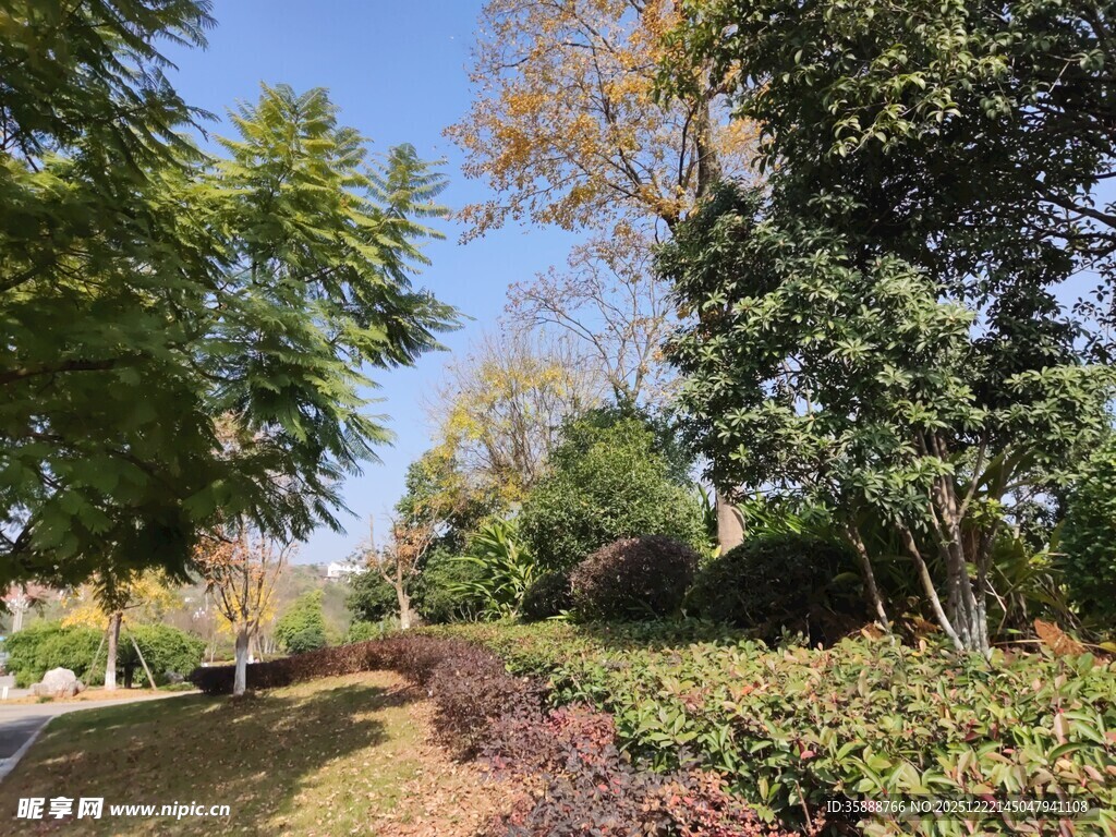 秋日林间小道美景