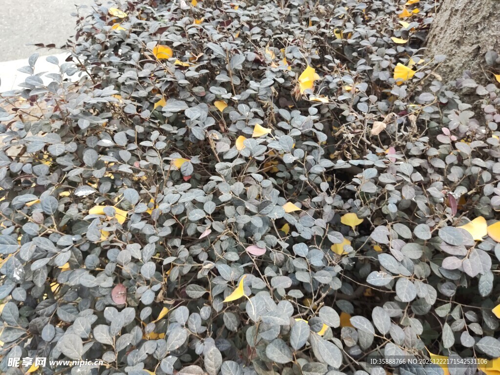 地面散落的多彩碎石瓦片