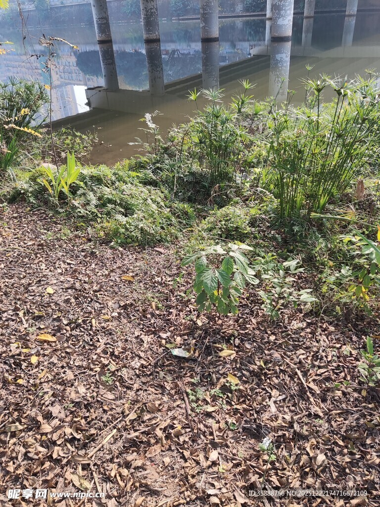 户外绿植与碎石景观