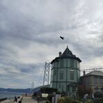 湖畔绿塔旁的飞翔鸟儿