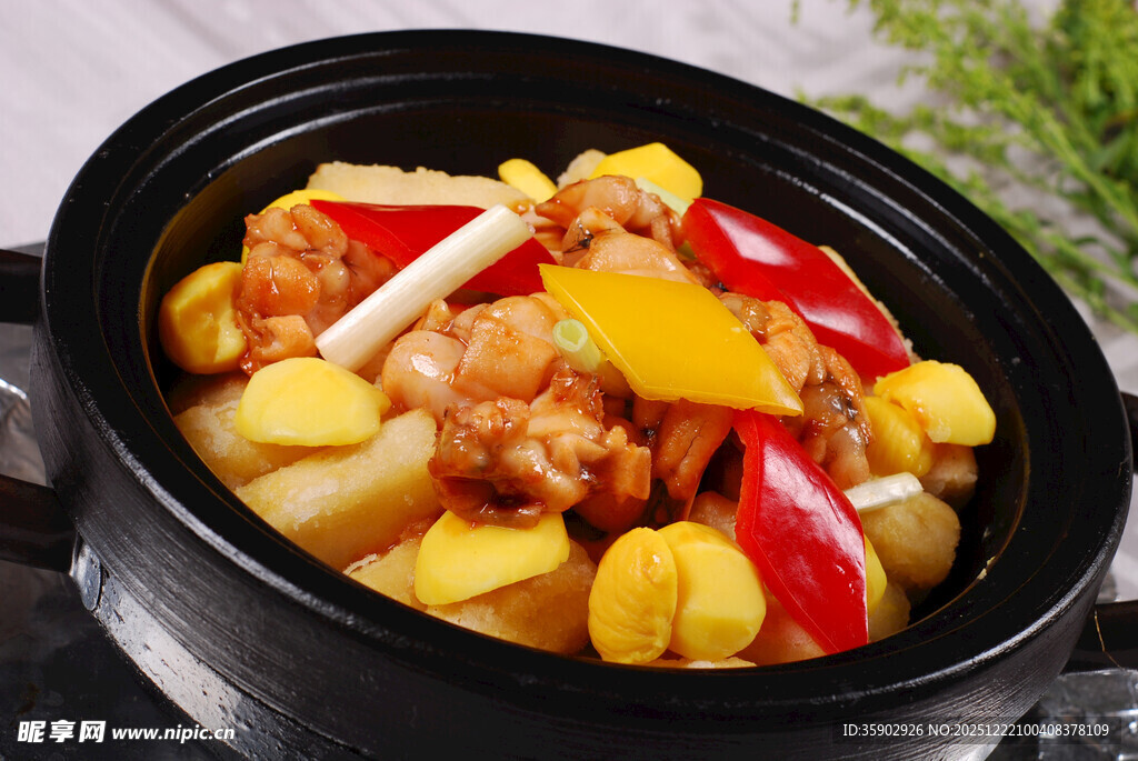 煲仔锅菜品粉藕板栗烧石蛤